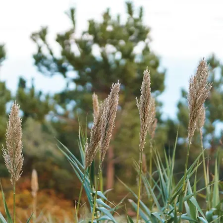 게스트하우스 Guestready - Faia House