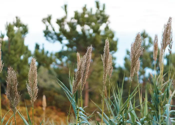 بيت ضيافة Guestready - Faia House